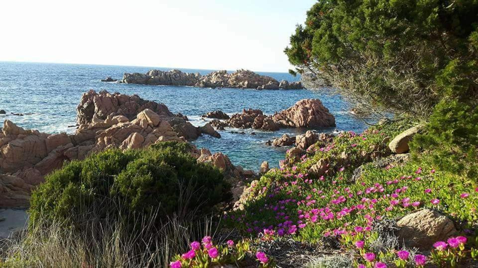 Casa Vacanze Villa Sandrina Costa Paradiso Buitenkant foto
