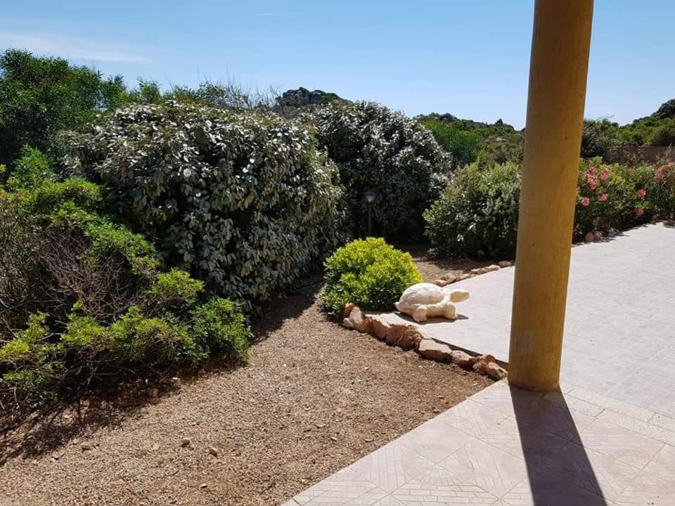 Casa Vacanze Villa Sandrina Costa Paradiso Buitenkant foto
