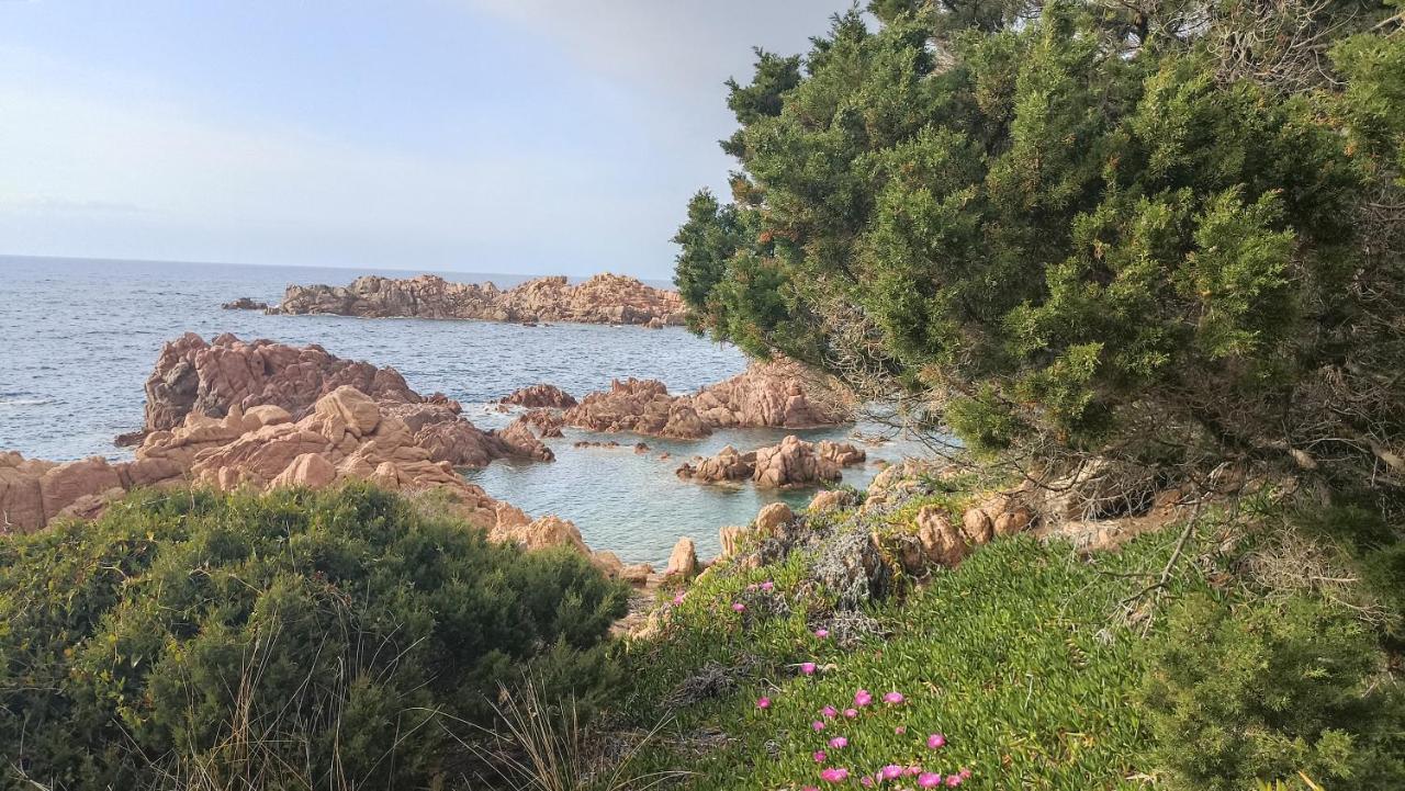 Casa Vacanze Villa Sandrina Costa Paradiso Buitenkant foto